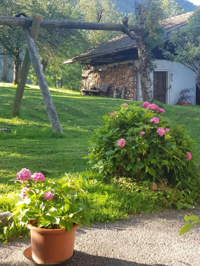 Inntalblick Apartment *